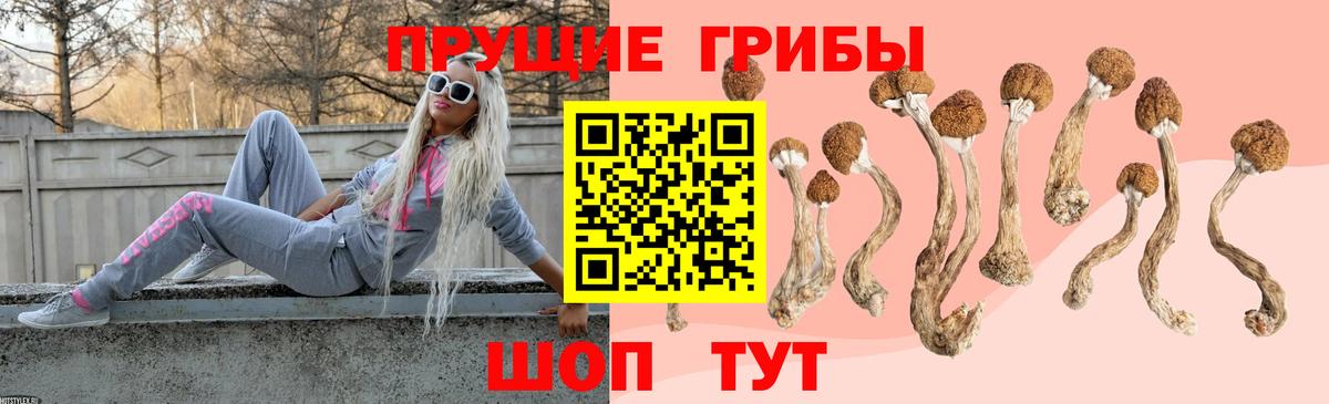Белгород  Псилоцибиновые грибы GOLDEN TEACHER  Галлюциногенные грибы MAGIC MUSHROOMS  Вход с VPN 